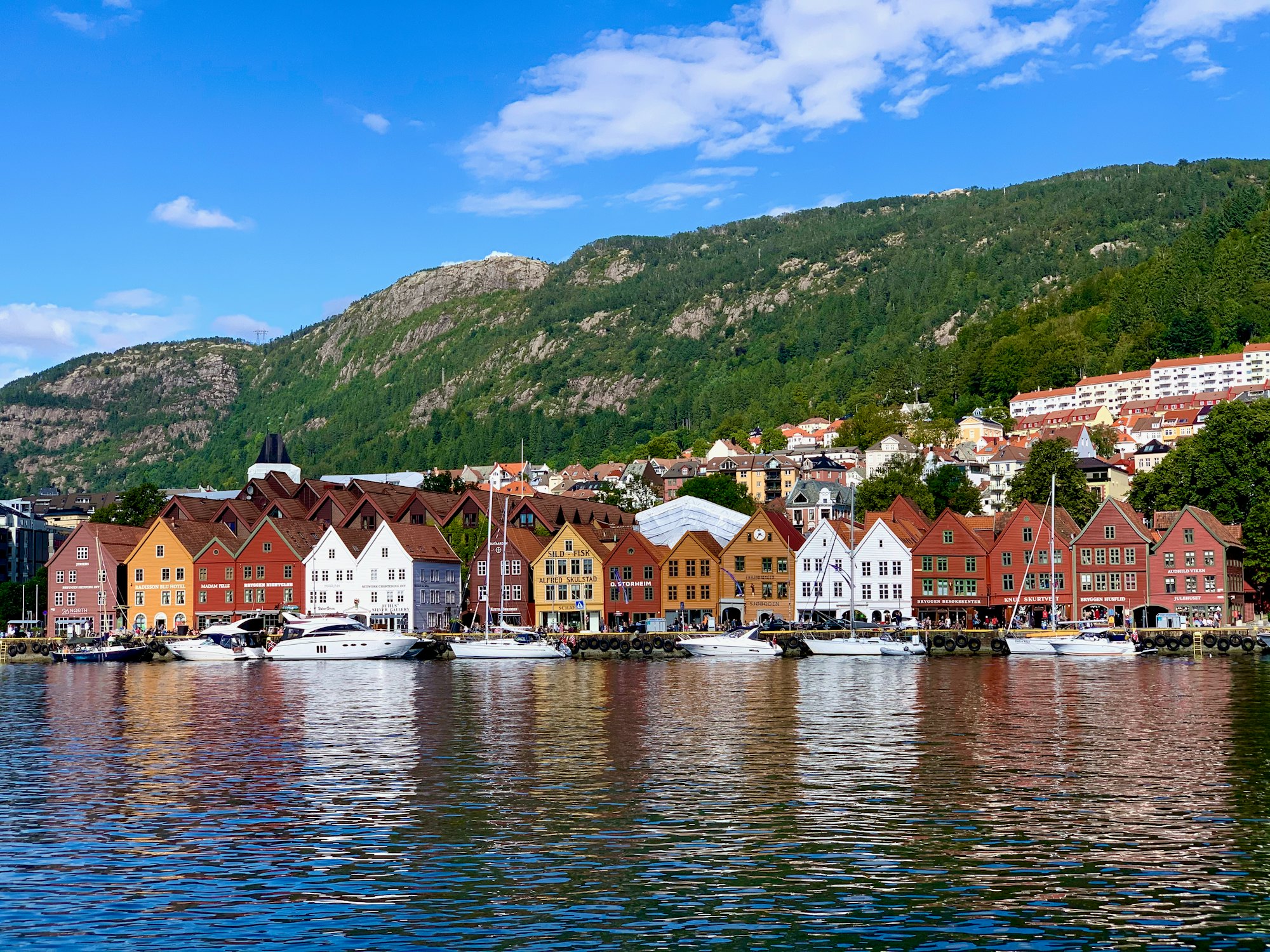 The colorful wooden houses of Bryggen in Bergen, with Mount Fl&oslash;yen behind them